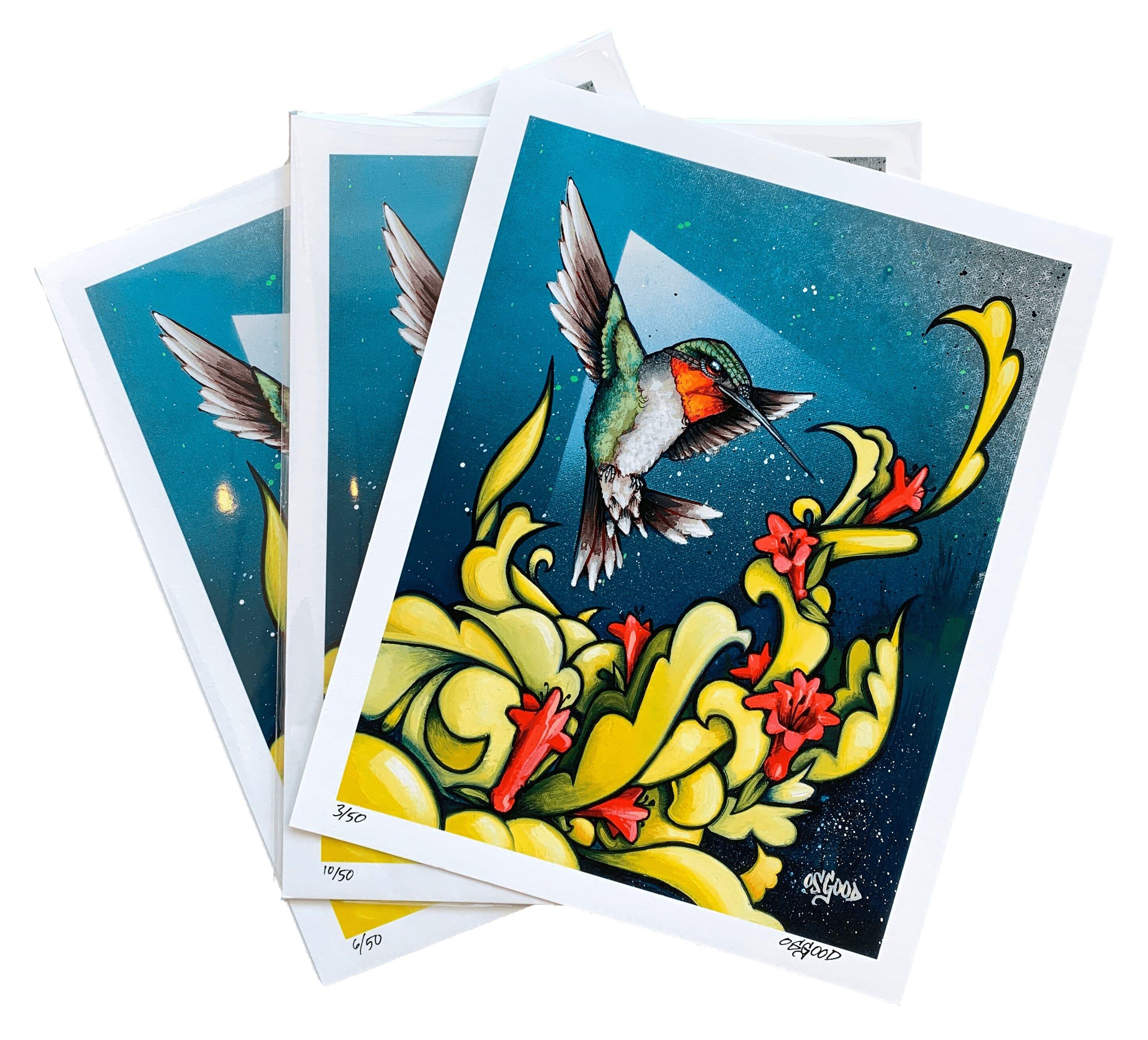 Velocity & Vibrancy Fine Art Print - Limited Edition Urban Hummingbird Print