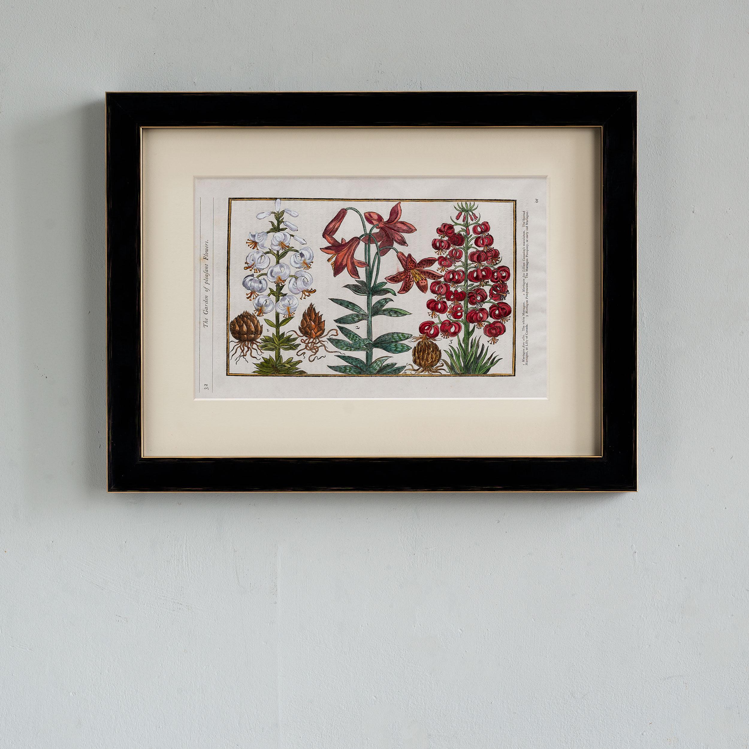 Paradisi in Sole Paradisus Terrestris by John Parkinson (1567-1650)

Original 17th century wood-cut prints by one of the first great English botanists.
Original 17th century wood-cut prints with later hand-colour. Framed in black.

John Parkinson,