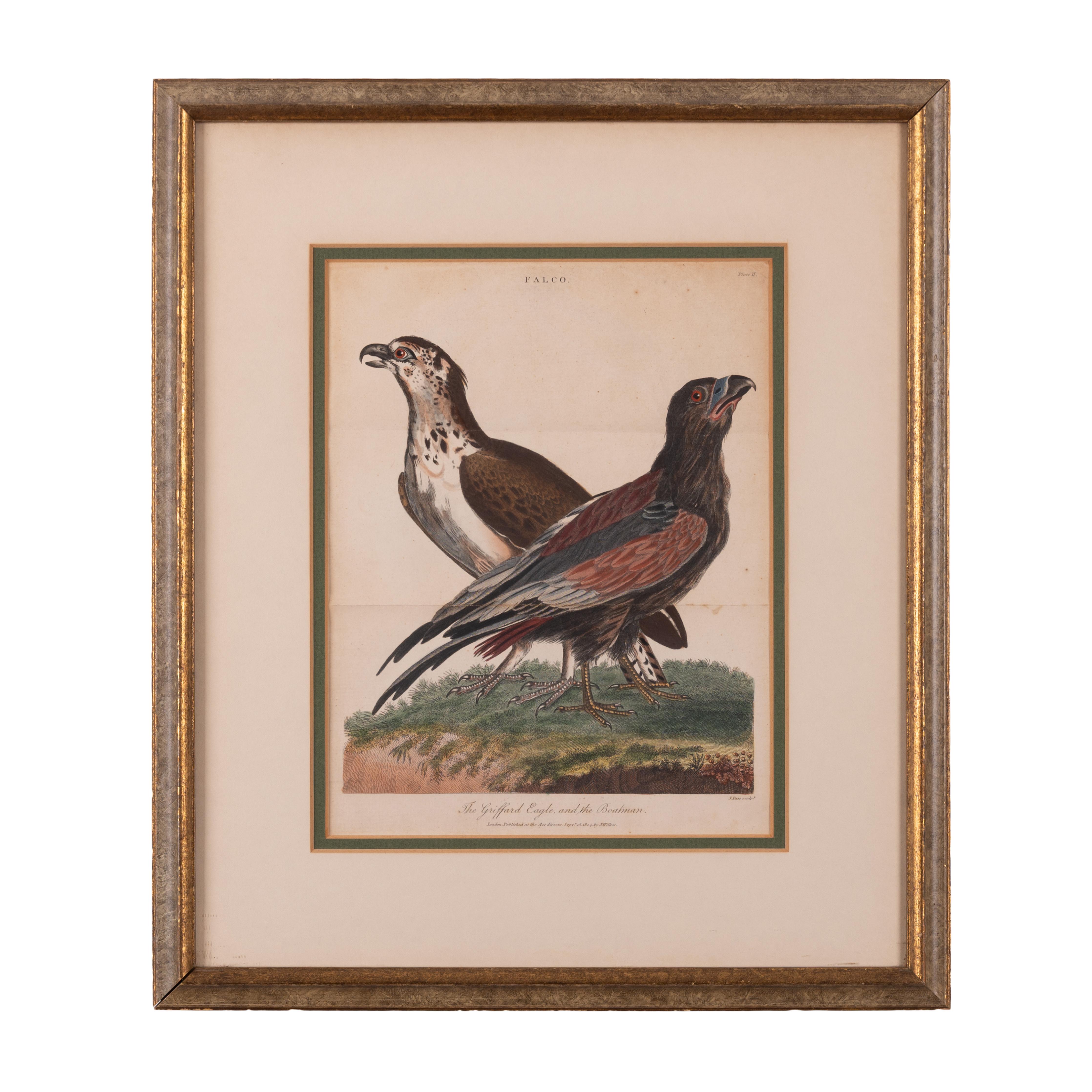 John Pass after Reinhold Eagle Engravings, c.1805 In Good Condition For Sale In Savannah, GA