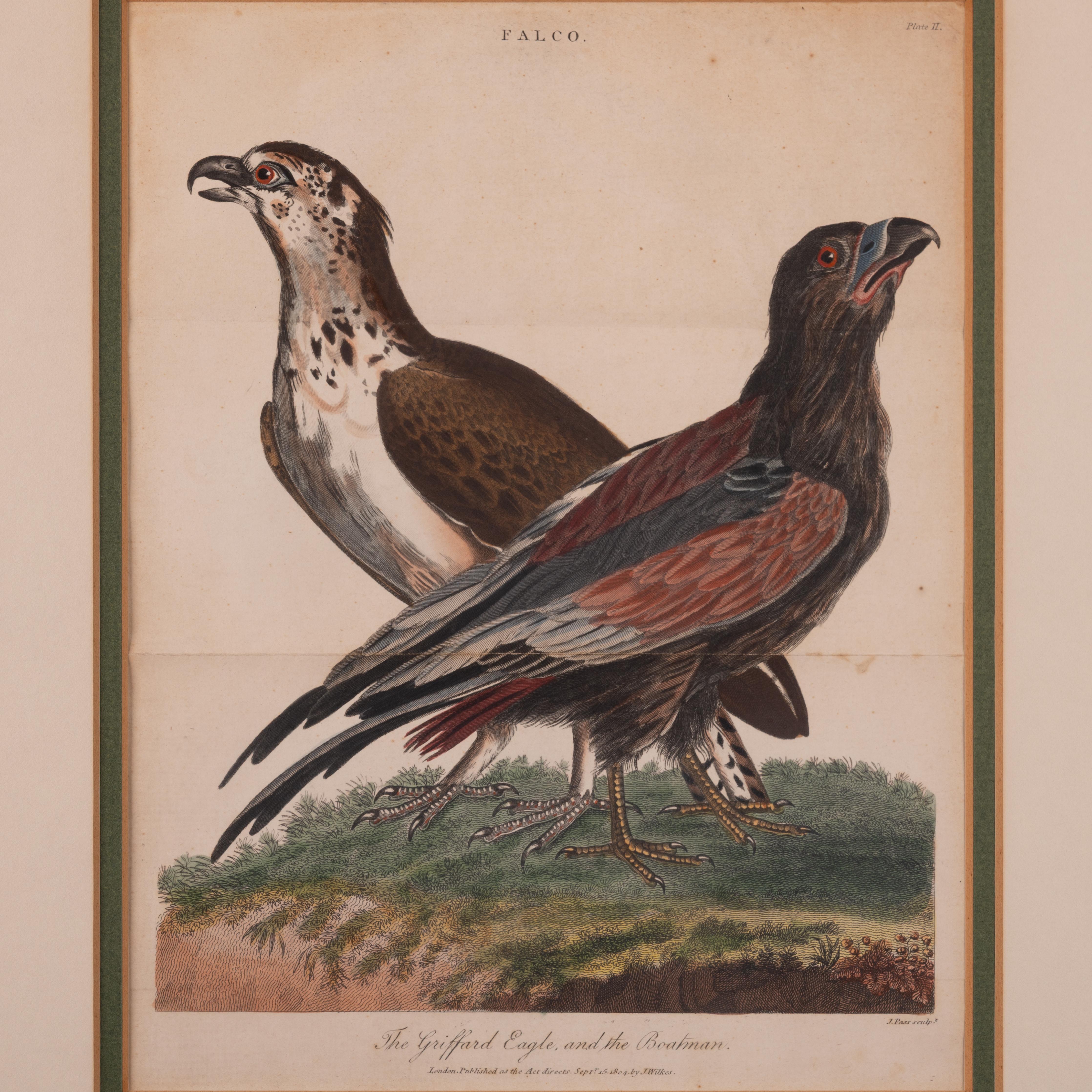 Début du XIXe siècle John Pass d'après les gravures d'aigle Reinhold, vers 1805 en vente