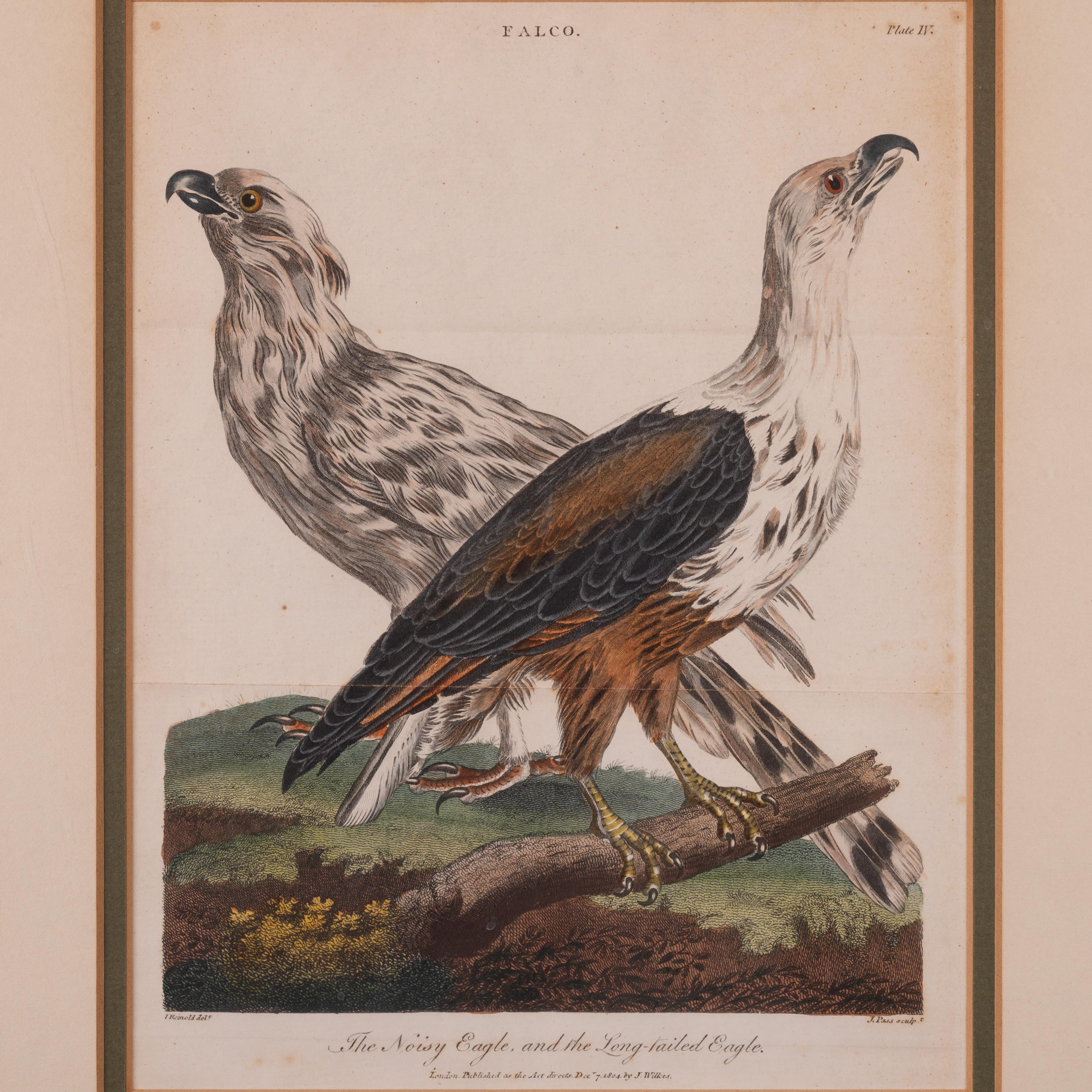 Glass John Pass after Reinhold Eagle Engravings, c.1805 For Sale