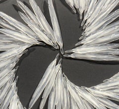 Flying White - large, translucent, feathers, solid glass wall sculpture