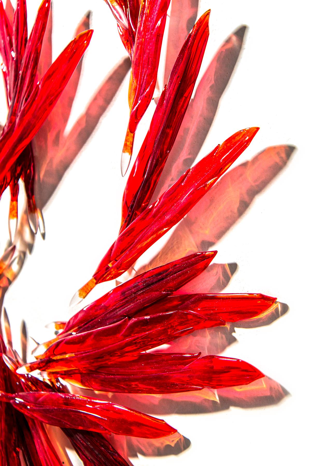 Available on commission. Size can vary. Can be pre-mounted on panel or installed directly on wall. Please allow 8-10 weeks completion time before shipping.

Crimson glass feathers are shaped into an elegant, fiery pinwheel in this wall sculpture by