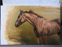 shannons horse
