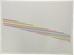 Color Steps D Signed Limited Edition Screen Print