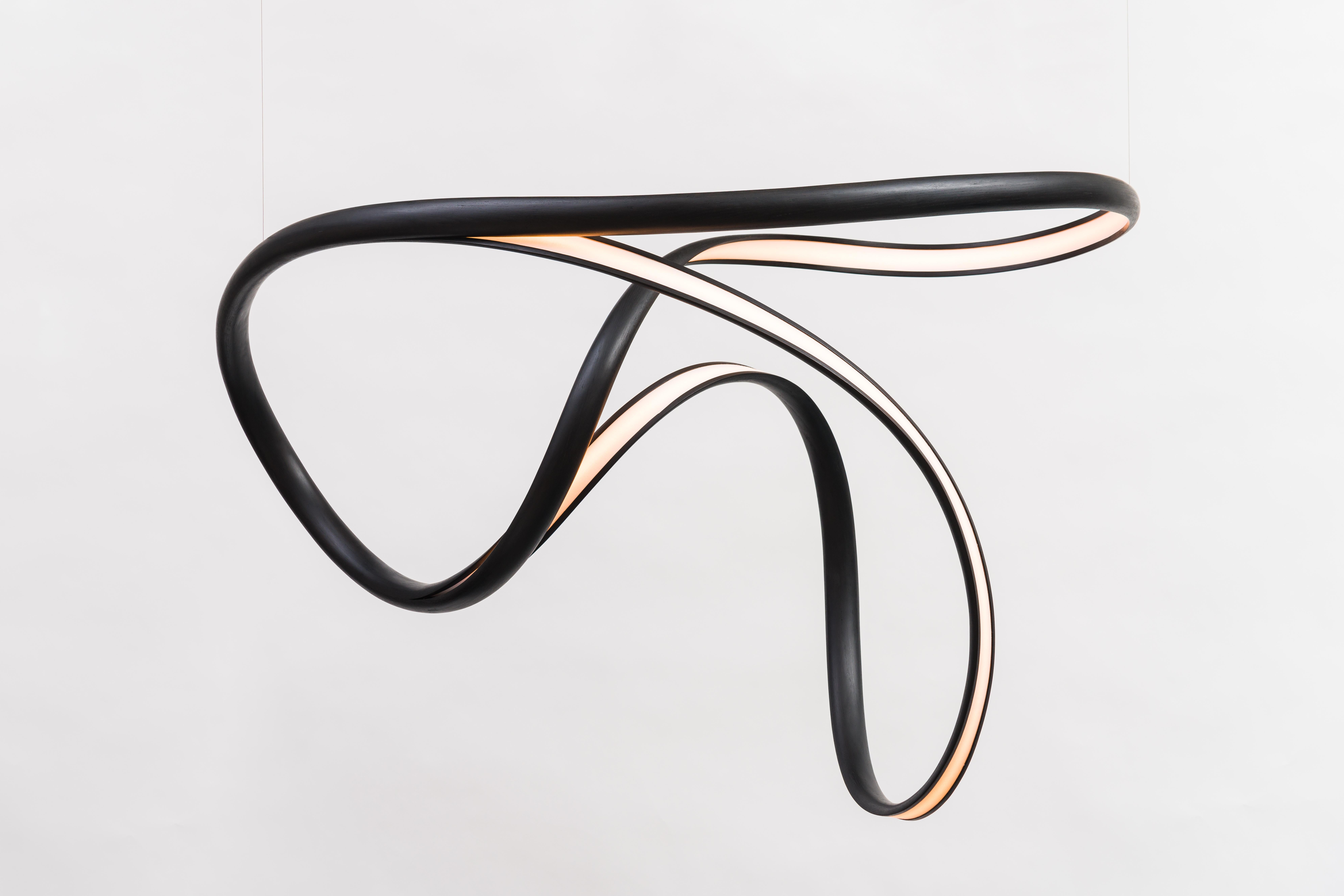John Procario, Freeform Series Light Sculpture XXXIII, USA For Sale 1