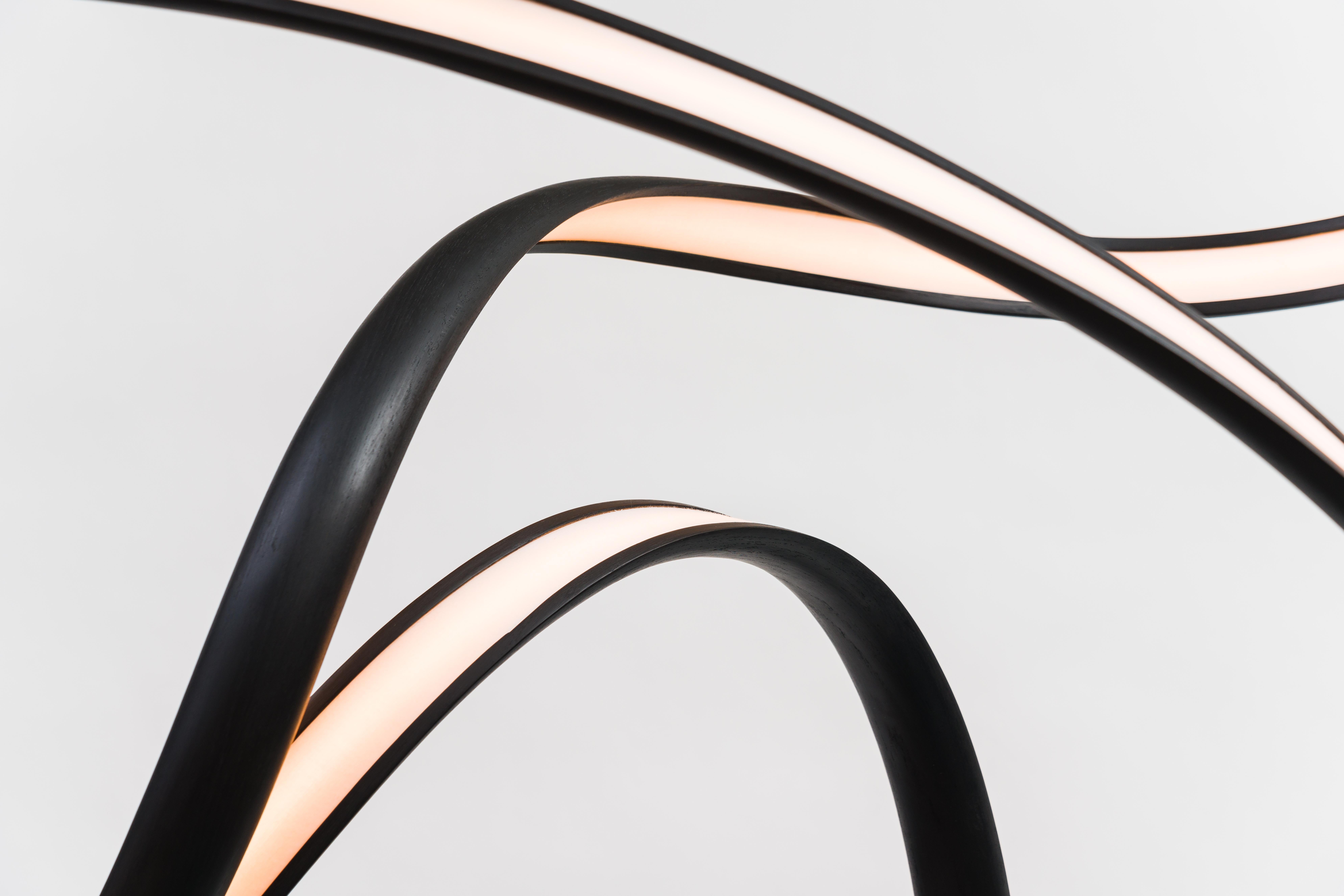 John Procario, Freeform Series Light Sculpture XXXIII, USA For Sale 3