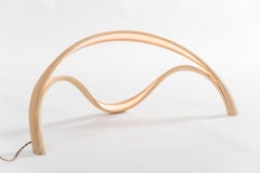 John Procario, Luminaire VI, USA