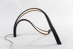 John Procario, Luminaire VII, USA