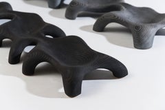 John Procario, Terraqueous, USA