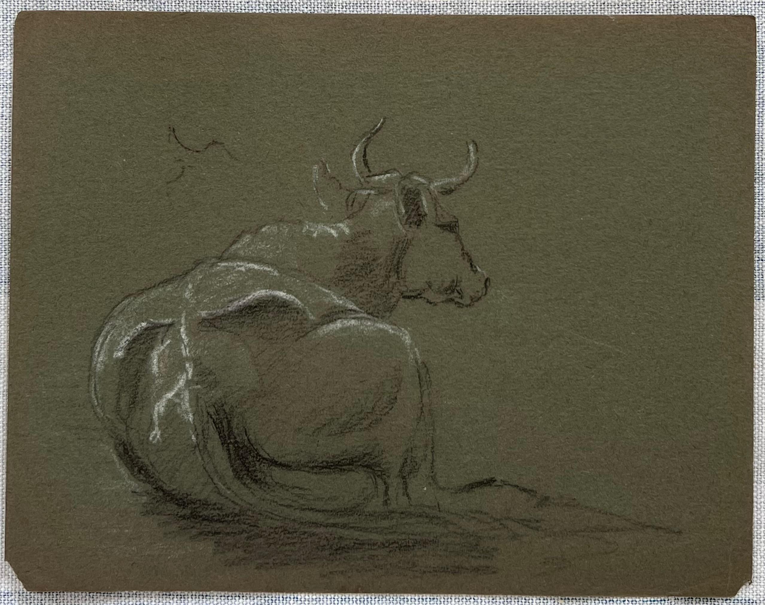 British Chalk Pencil Sketch of a Back Facing Large Cow With Horns Lying Down - Painting by John Rabone Harvey