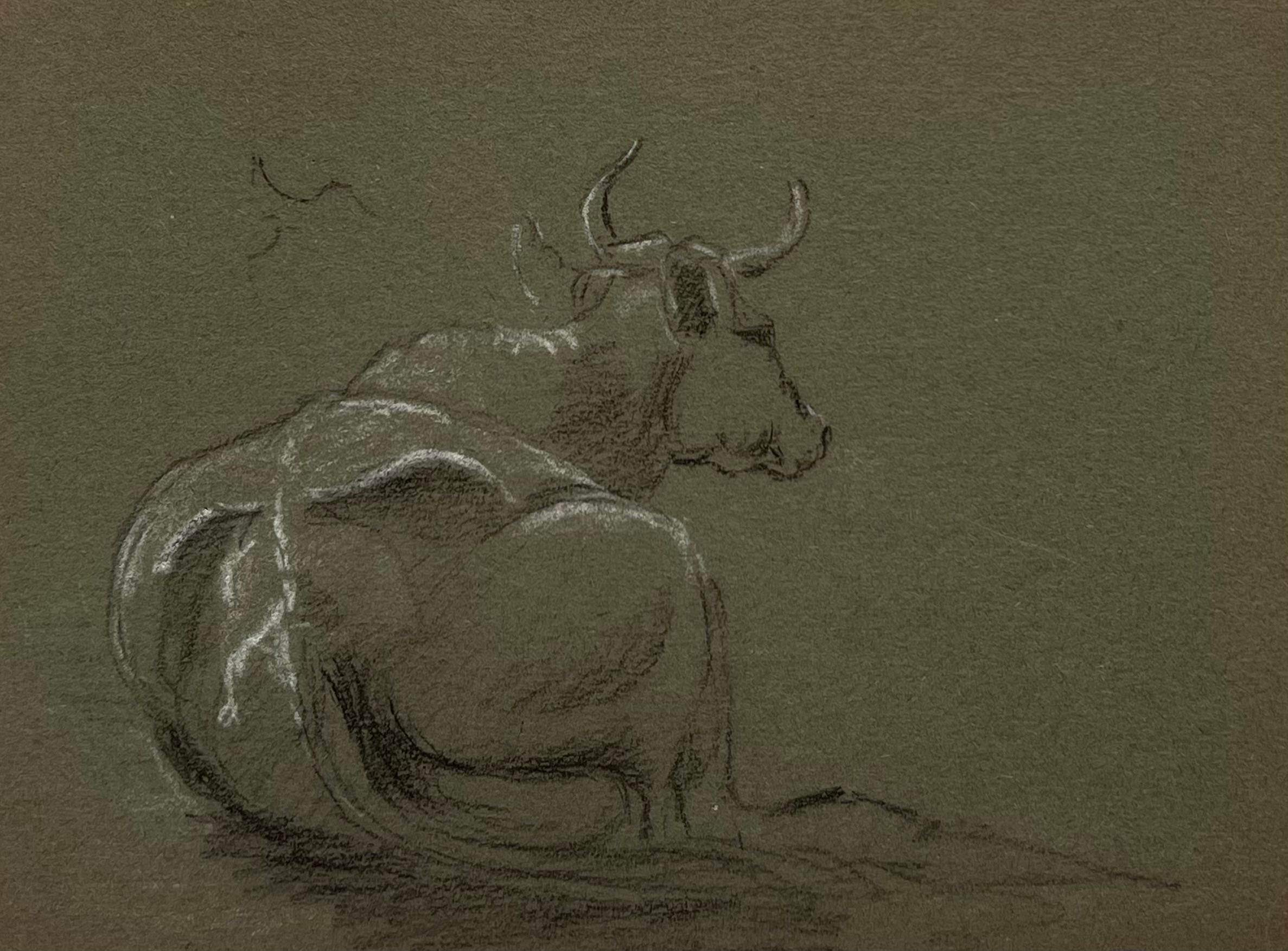 John Rabone Harvey Figurative Painting - British Chalk Pencil Sketch of a Back Facing Large Cow With Horns Lying Down