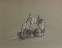British Chalk Pencil Sketch of A Bull Lying Down