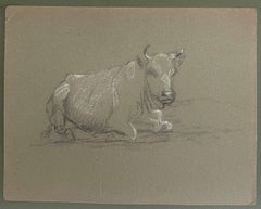 British Chalk Pencil Sketch of a Bull Resting On The Ground
