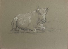 British Chalk Pencil Sketch of a Bull Resting On The Ground