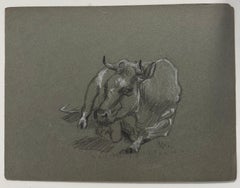 British Chalk Pencil Sketch of a Cow Posed Lying On The Ground