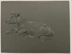 British Chalk Pencil Sketch of a Cow Posed Lying On The Ground