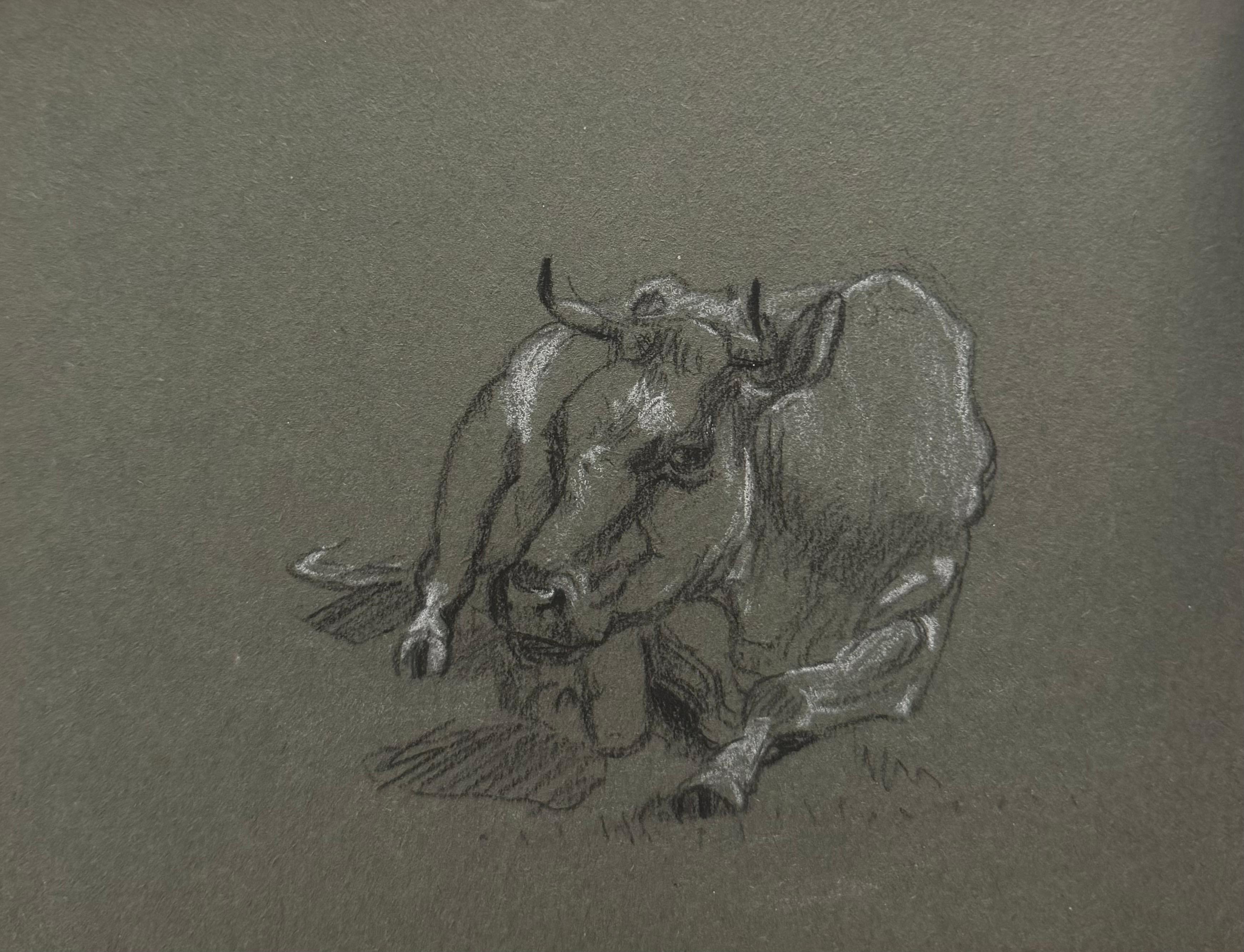 British Chalk Pencil Sketch of a Cow Posed Lying On The Ground