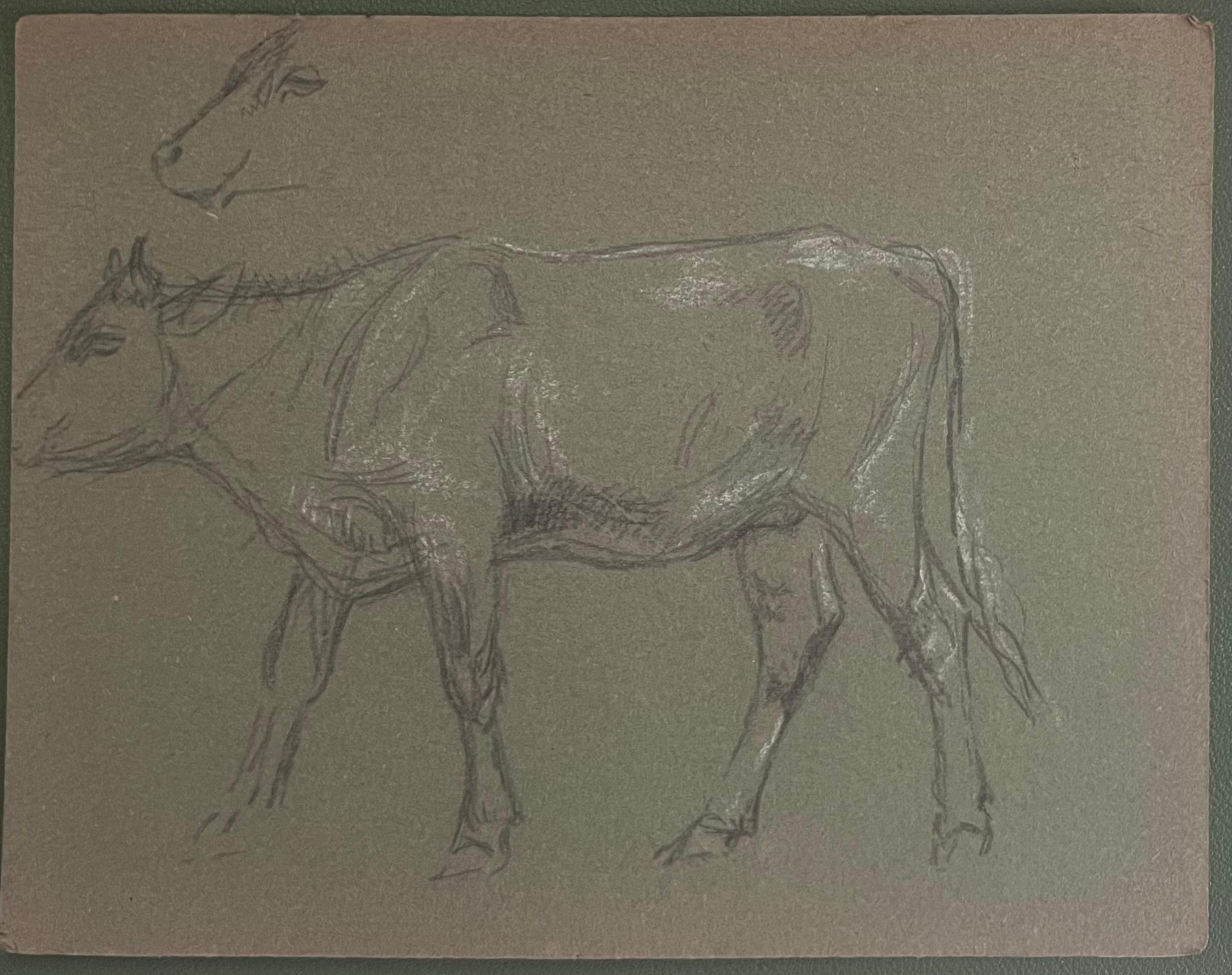 British Chalk Pencil Sketch of a Cow Side Profile and Face Sketch - Painting by John Rabone Harvey