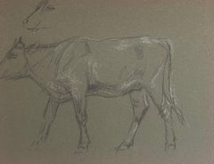 Antique British Chalk Pencil Sketch of a Cow Side Profile and Face Sketch