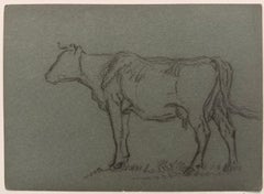 Schizzo a matita di gesso britannico di una mucca ritratta di profilo sull'erba