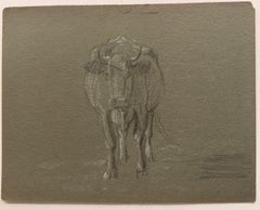 Schizzo a matita di gesso britannico di una mucca in piedi con la faccia rivolta verso il ritratto