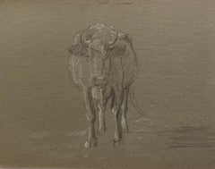 Schizzo a matita di gesso britannico di una mucca in piedi con la faccia rivolta verso il ritratto