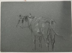 British Chalk Pencil Sketch of a Cow With Horns Facing Away