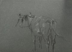 British Chalk Pencil Sketch of a Cow With Horns Facing Away