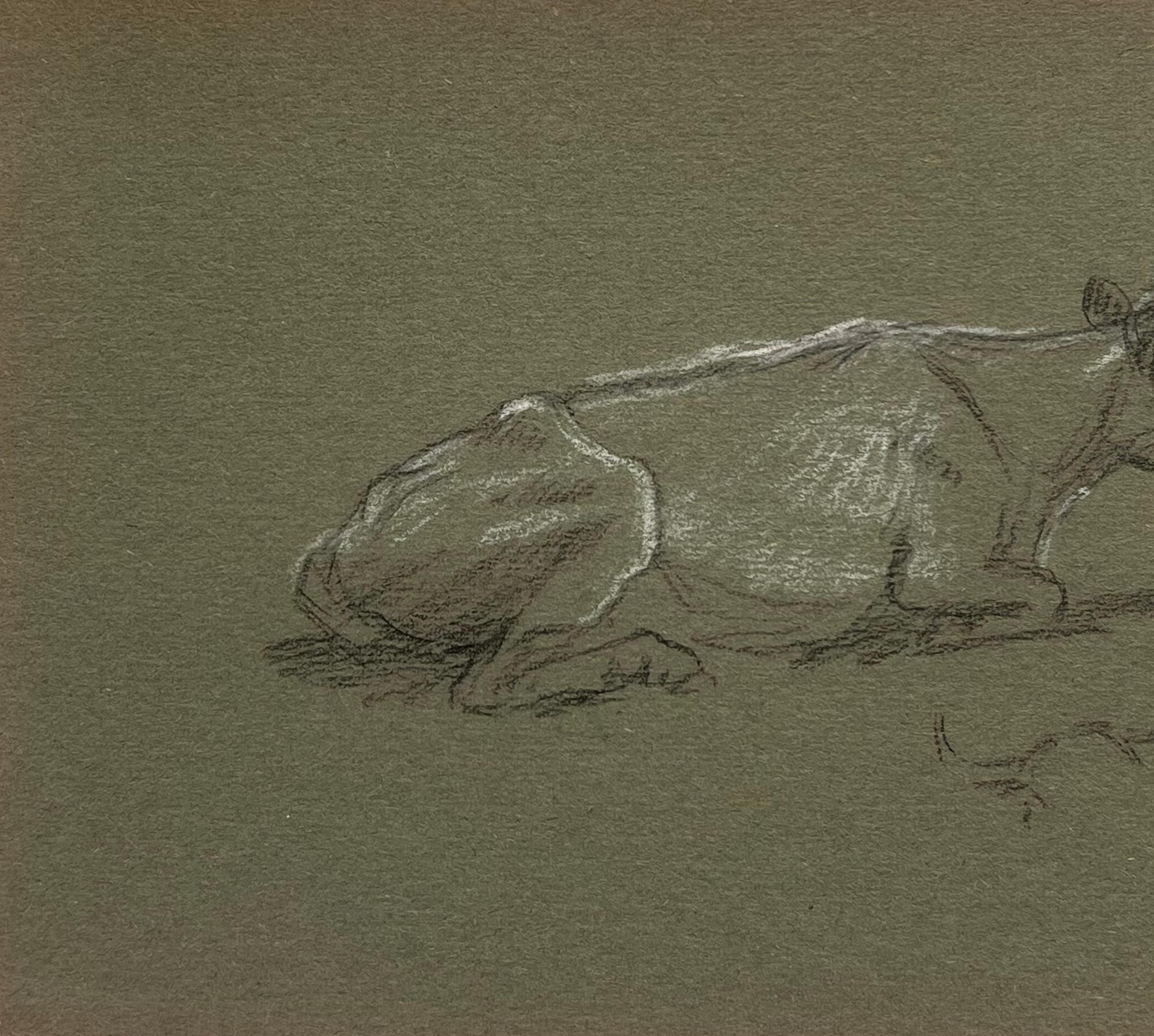 Esquisse à la craie d'une vache à cornes couchée sur l'herbe - Réalisme Painting par John Rabone Harvey