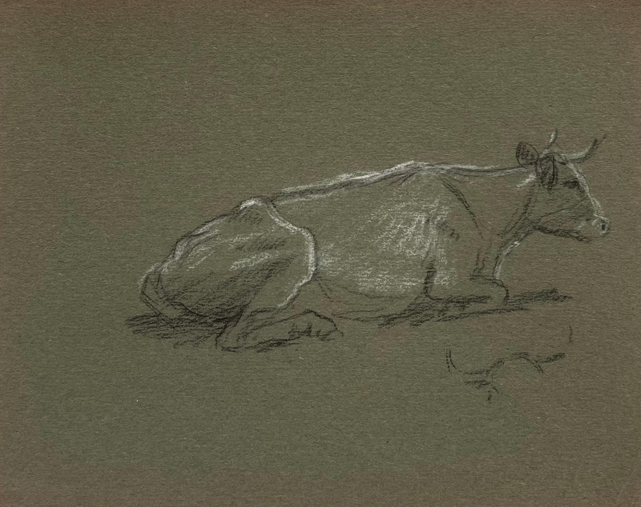 Esquisse à la craie d'une vache à cornes couchée sur l'herbe - Gris Figurative Painting par John Rabone Harvey