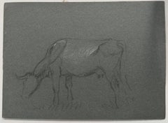 British Chalk Pencil Sketch of a Cow With Horns Munching on the Grass