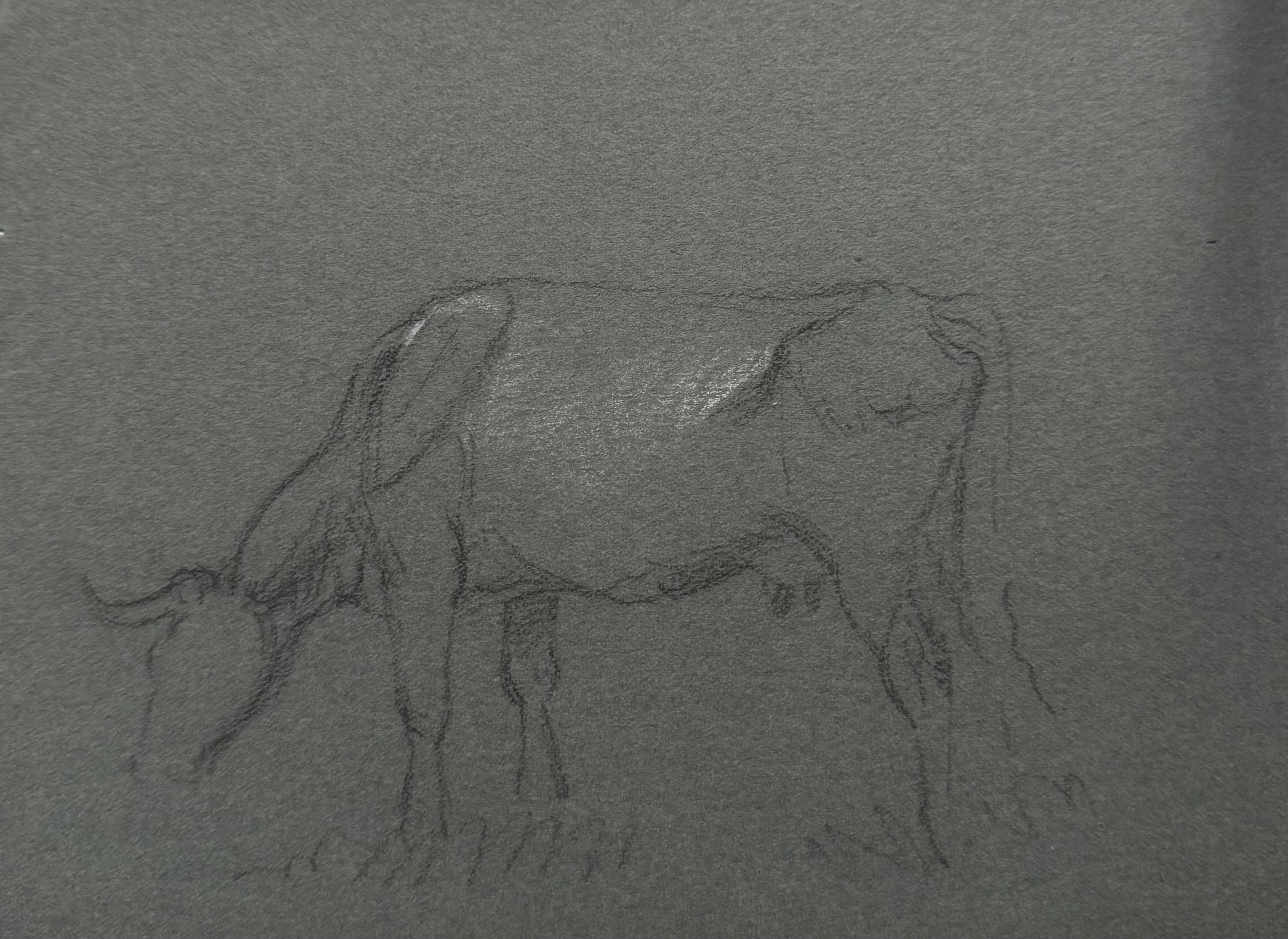 Esquisse à la craie d'une vache à cornes broutant de l'herbe