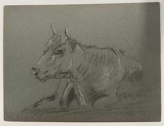 British Chalk Pencil Sketch of a Cow With Horns Resting on The Grass