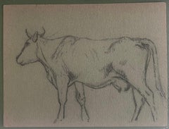 Schizzo a matita di gesso britannico di una mucca con le corna Profilo laterale