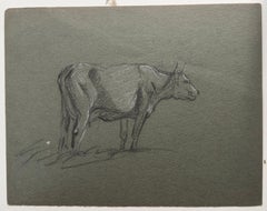 Britische Kreidestiftskizze einer Kuh mit Hörnern Seitenprofil