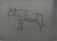 British Chalk Pencil Sketch of a Cow with Horns Side Profile