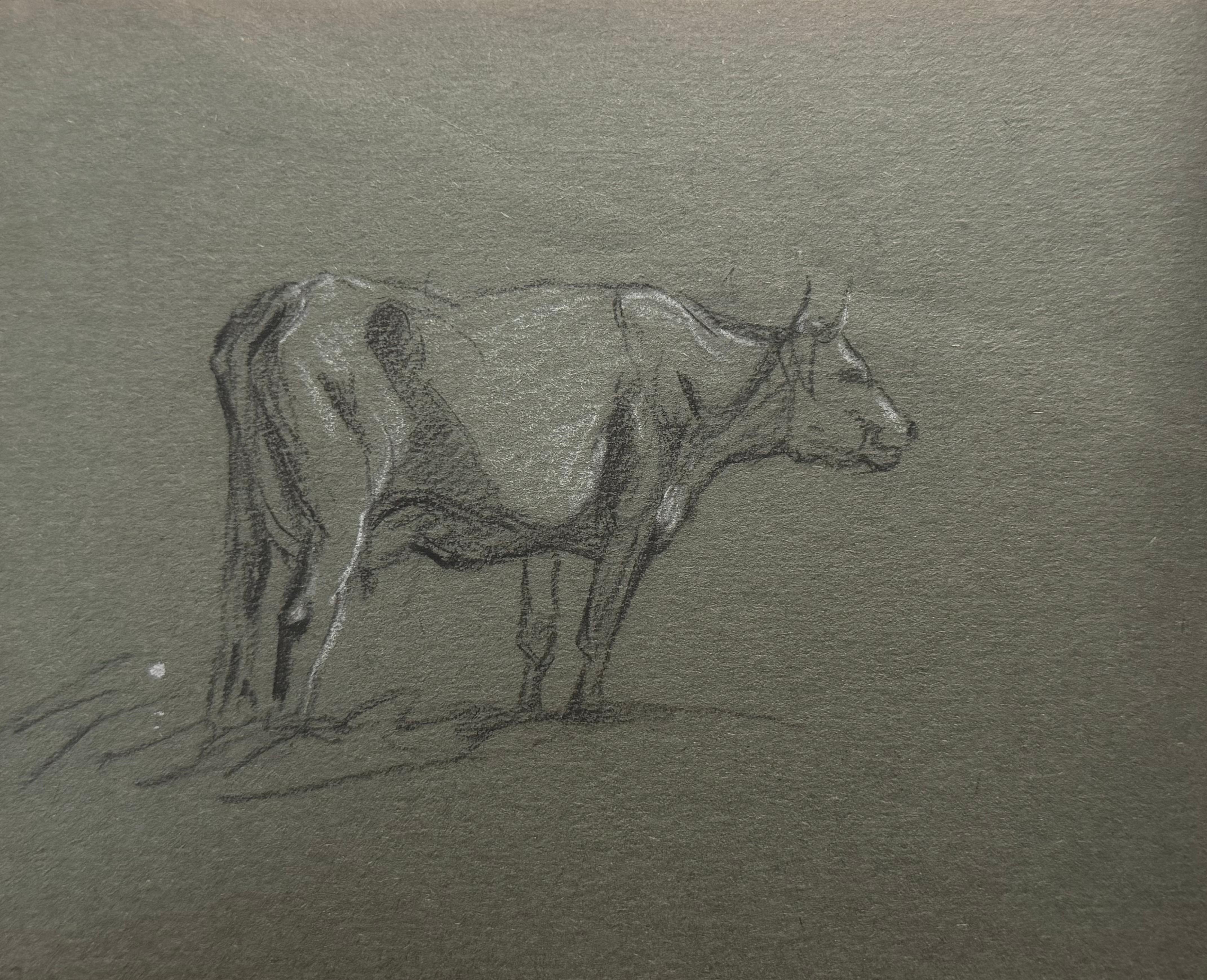 John Rabone Harvey Animal Art - British Chalk Pencil Sketch of a Cow with Horns Side Profile