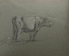 Britische Kreidestiftskizze einer Kuh mit Hörnern Seitenprofil