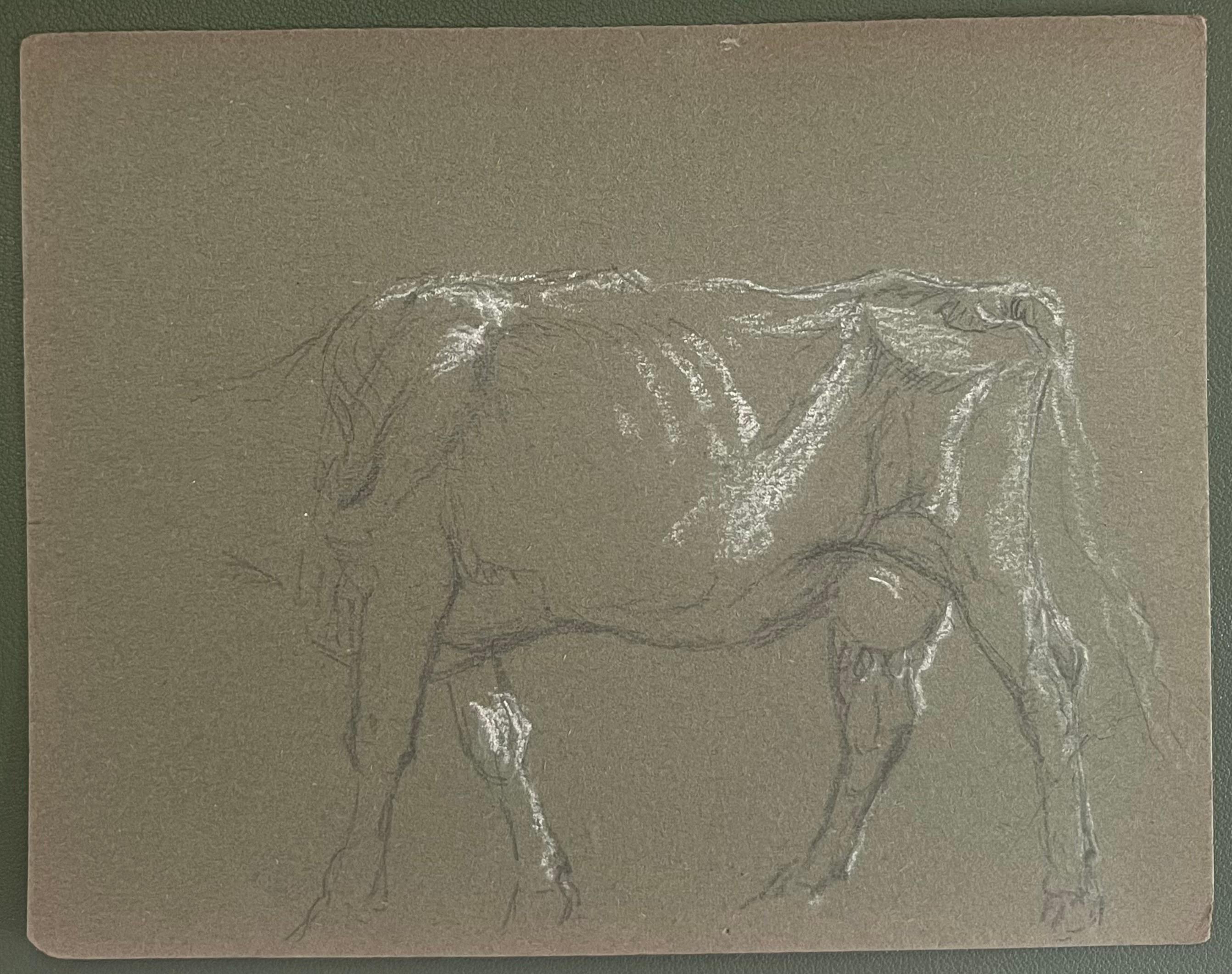 Esquisse au crayon de craie britannique du corps d'une vache avec des traits blancs - Art de John Rabone Harvey