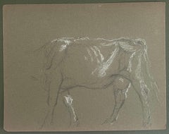 Esquisse au crayon de craie britannique du corps d'une vache avec des traits blancs