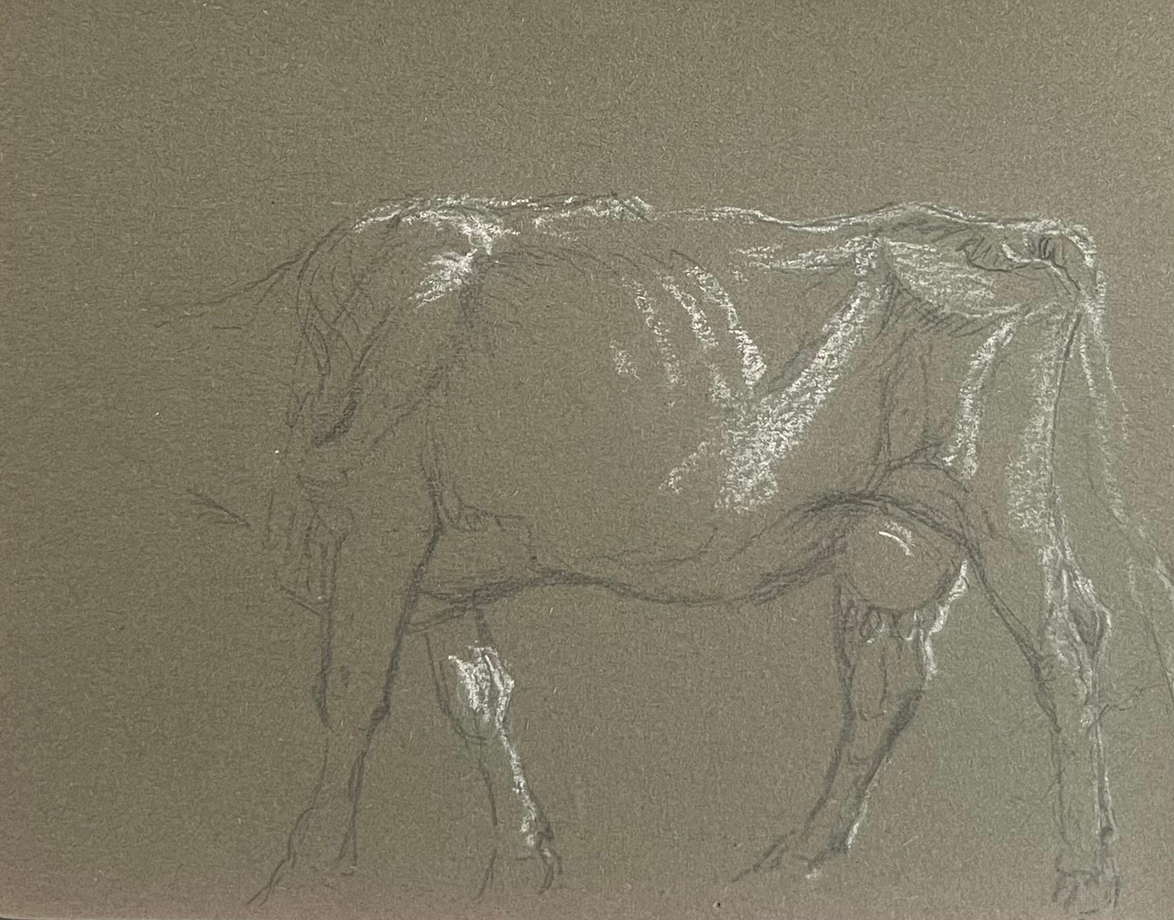 British Chalk Pencil Sketch Of A Cow's Body With White Features