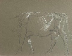 Dibujo A Lápiz De Tiza Británico Del Cuerpo De Una Vaca Con Rasgos Blancos