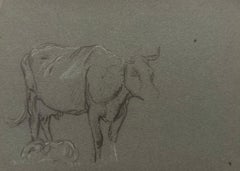 Schizzo incompiuto a matita di gesso britannico di un corpo e di un vitello di mucca