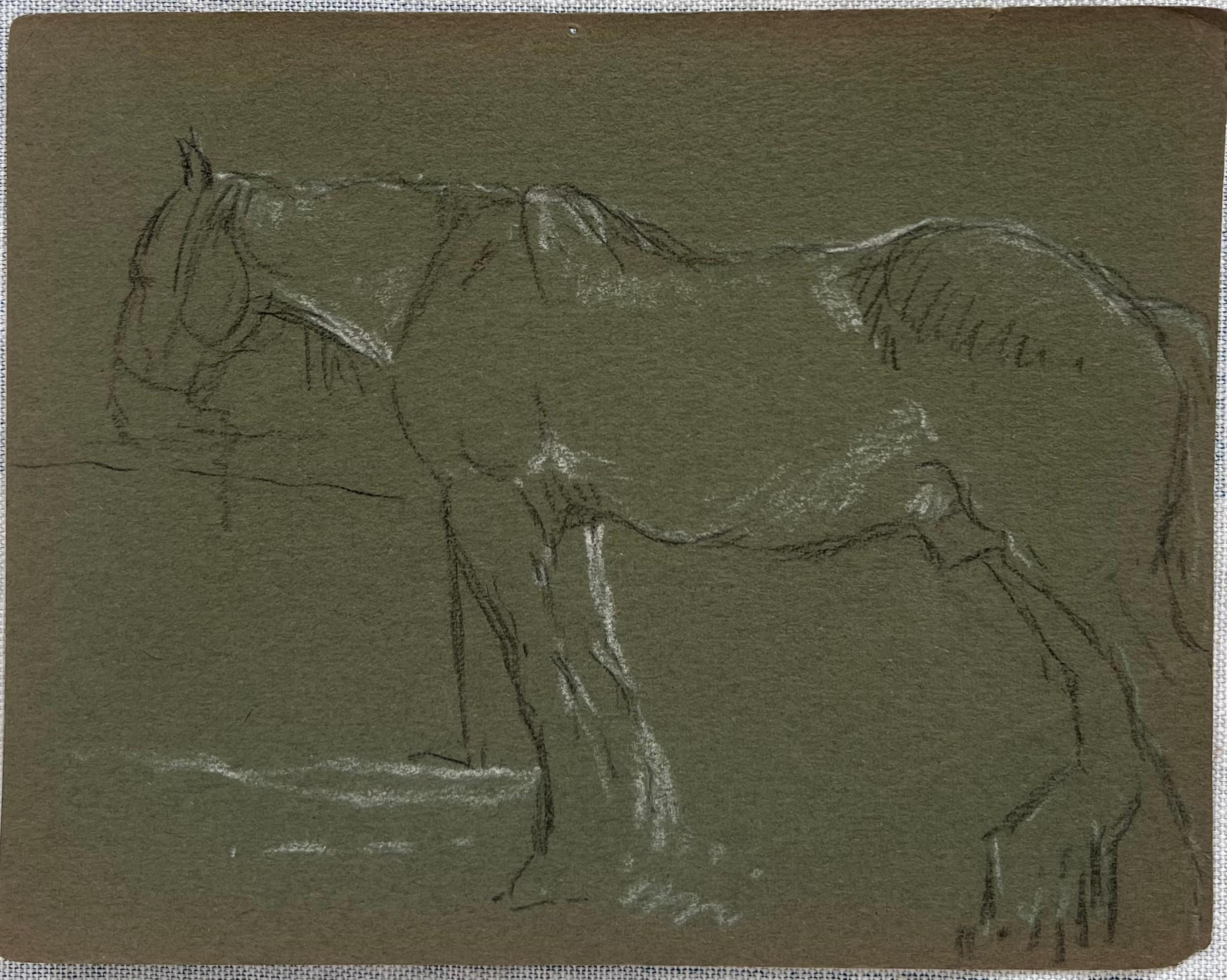 Esquisse au crayon de couleur d'un cheval aux traits blancs attendant à la clôture - Painting de John Rabone Harvey
