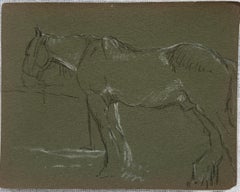 British Chalk Pencil Sketch of a Horse with White Features Waiting at The Fence