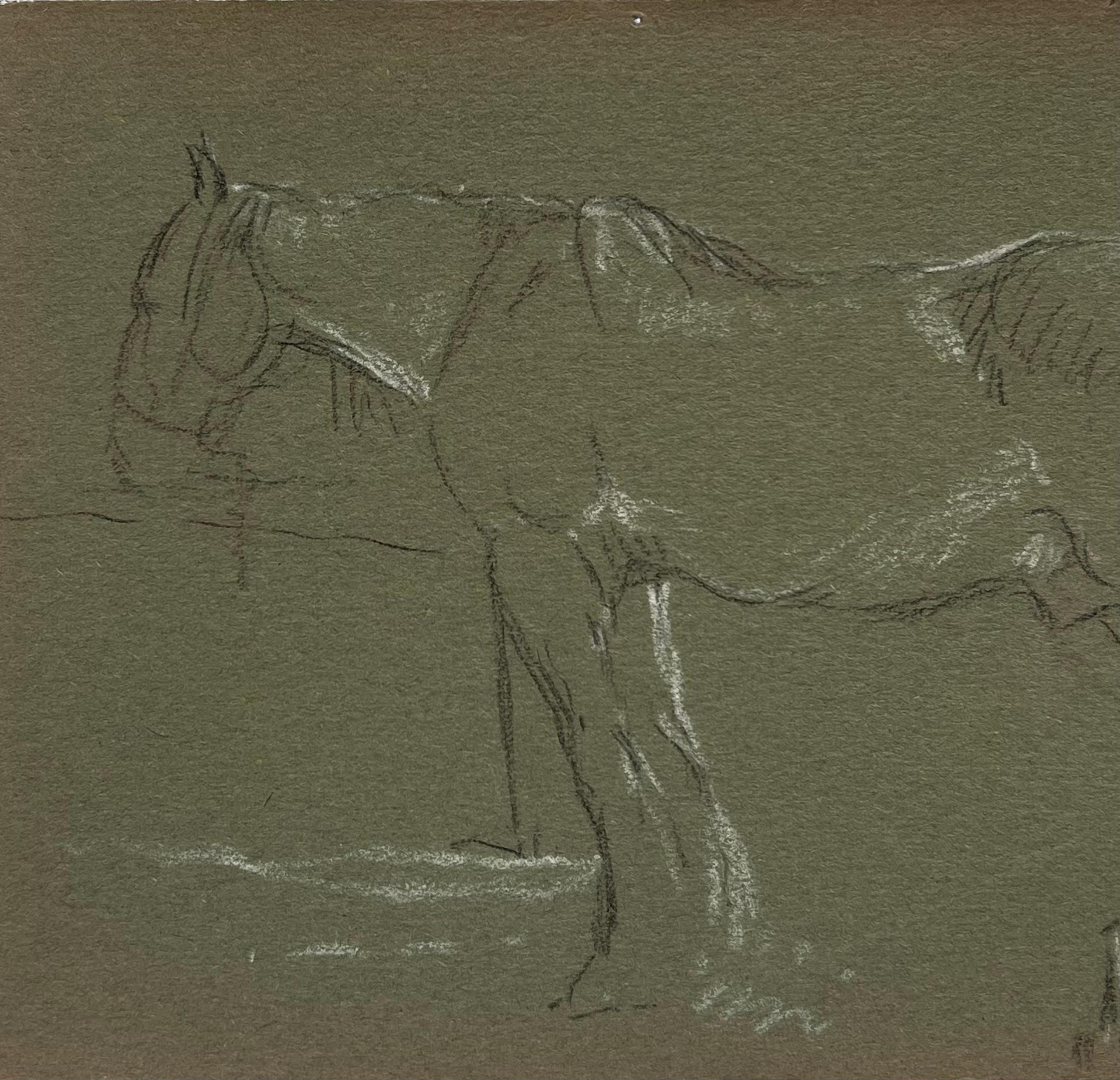 Esquisse au crayon de couleur d'un cheval aux traits blancs attendant à la clôture - Réalisme Painting par John Rabone Harvey