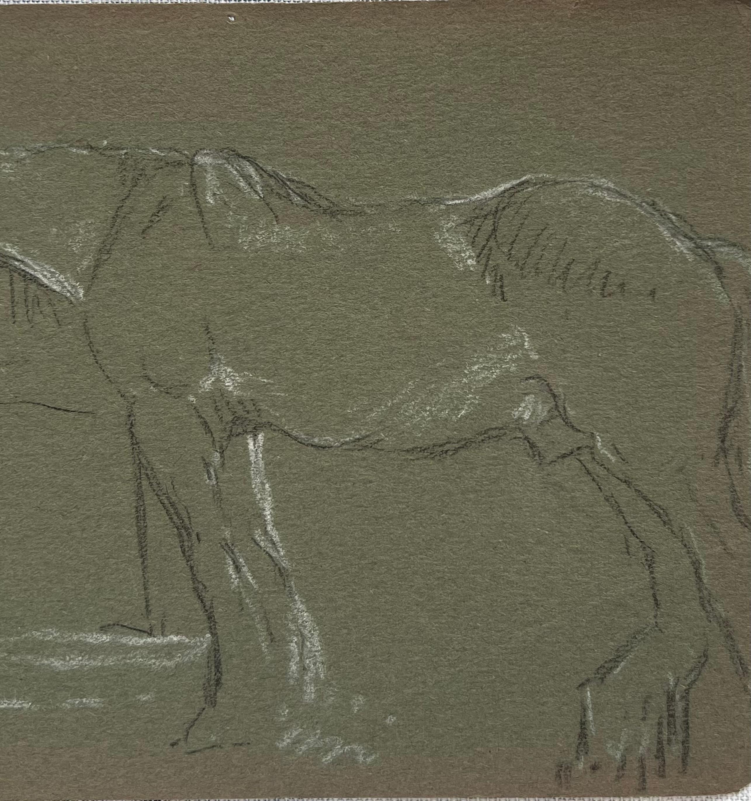 Esquisse au crayon de couleur d'un cheval aux traits blancs attendant à la clôture - Noir Figurative Painting par John Rabone Harvey