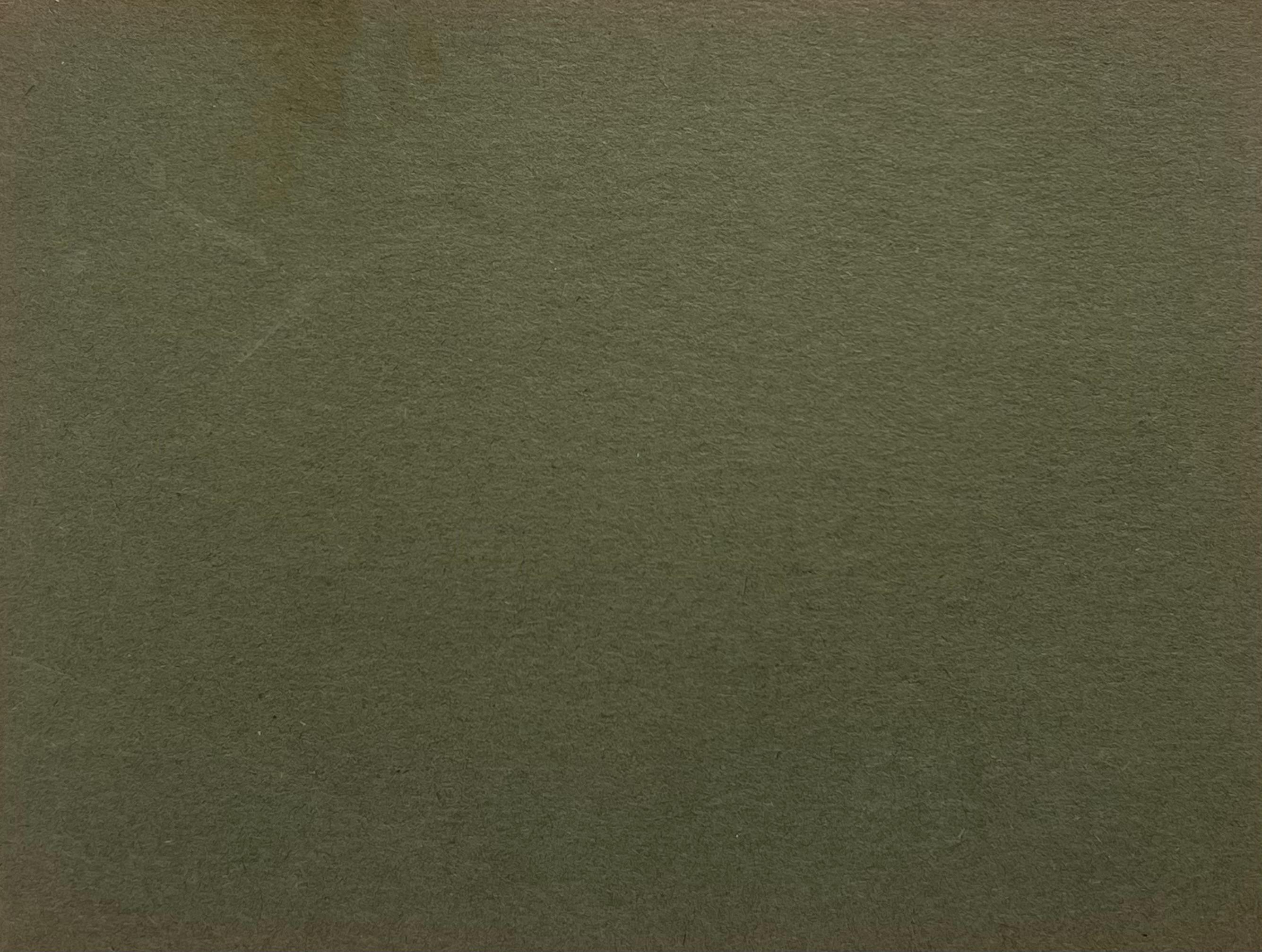 John Rabone Harvey ( 1966 - 1922)
graphique et craie papier d'artiste vert foncé , non encadré
papier d'artiste : 5.5 x 7 pouces
Collectional : collection privée
Condit : très bon état
Double face 

Harvey est un artiste britannique actif de la fin