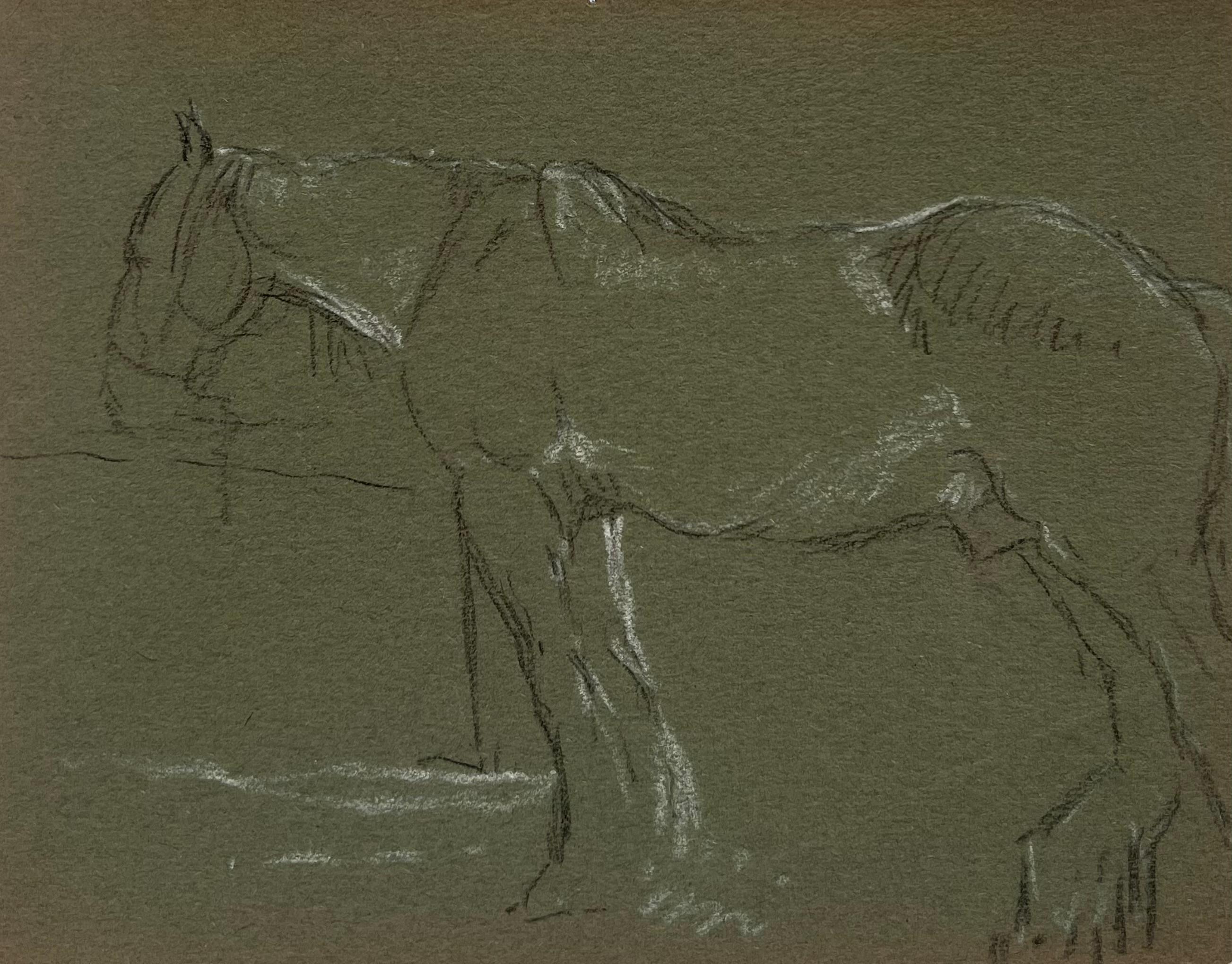 Figurative Painting John Rabone Harvey - Esquisse au crayon de couleur d'un cheval aux traits blancs attendant à la clôture